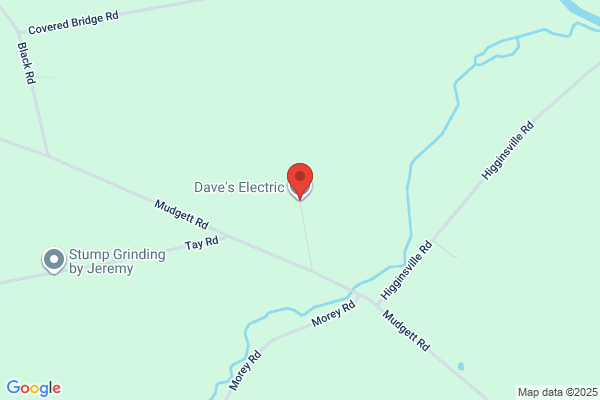 Veno Dave Electric