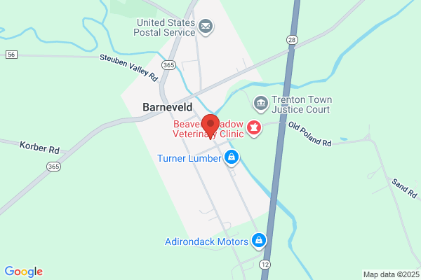 Barneveld Family Chiropractic