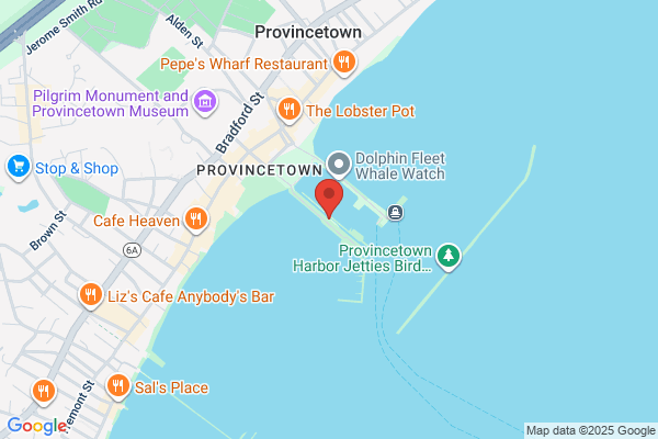 Provincetown Marina
