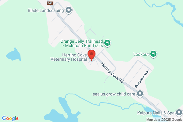 Lower Cape Veterinary Services - Herring Cove