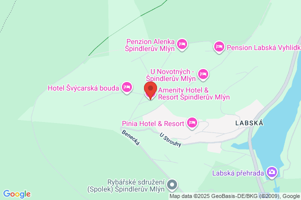 Amenity Motor Inn