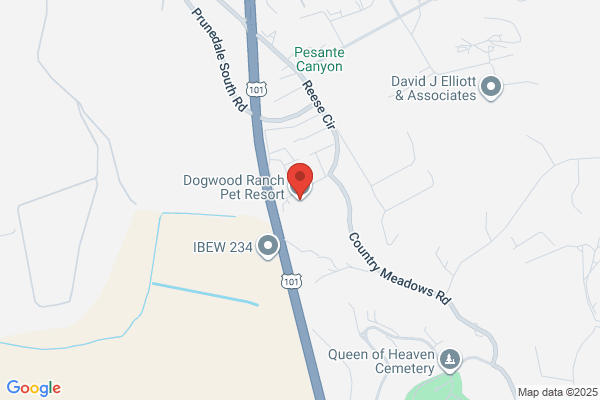 Dogwood Ranch Pet Resort