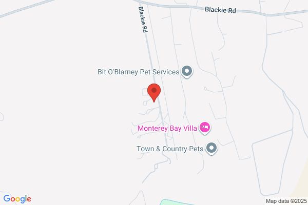 Valley Veterinary Service