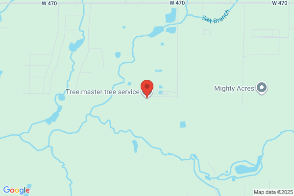 Tree Masters Tree Service