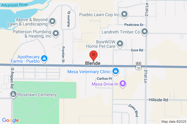 Mesa Chiropractic