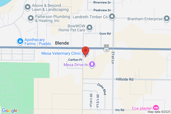 Mesa Veterinary Clinic