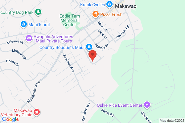 Flood Pro Maui