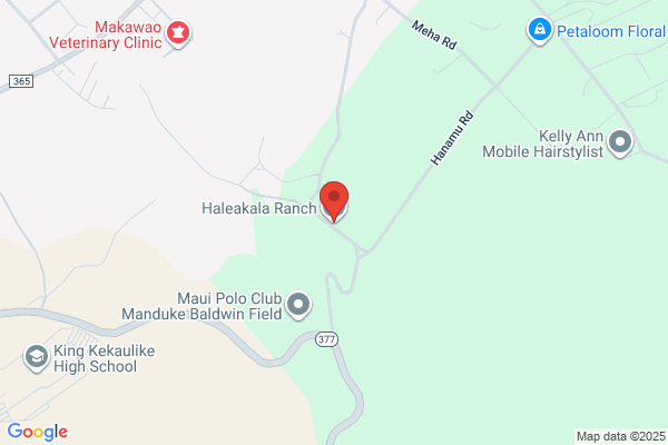 Haleakala On Horseback