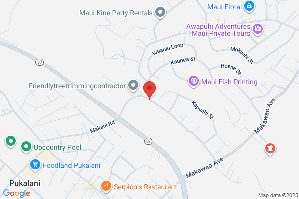 Maui Surf Academy