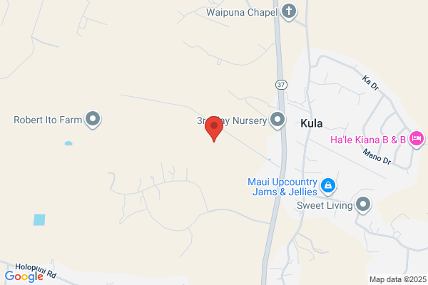Mauka Physical Therapy Inc