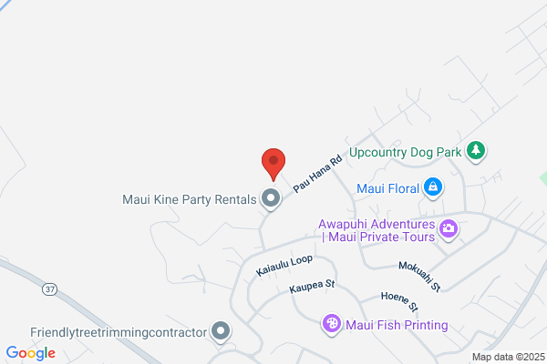 Upcountry Veterinary Services
