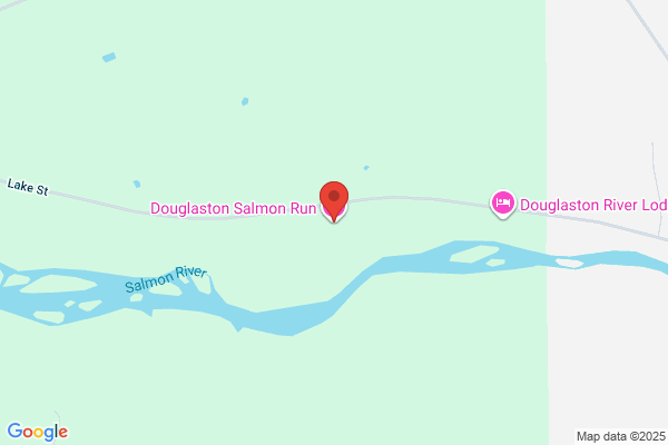 Douglaston Salmon Run Hotline