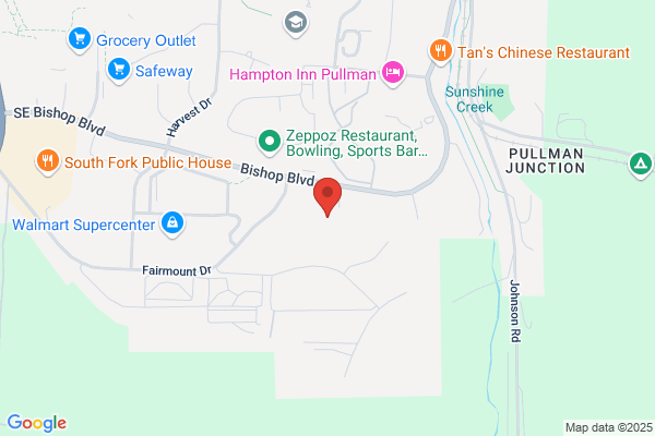 PALOUSE FOOT AND ANKLE CLINIC