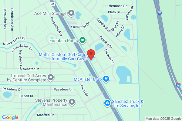 Cart Guys