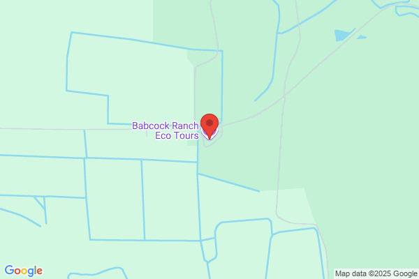 Babcock Ranch Eco Tours