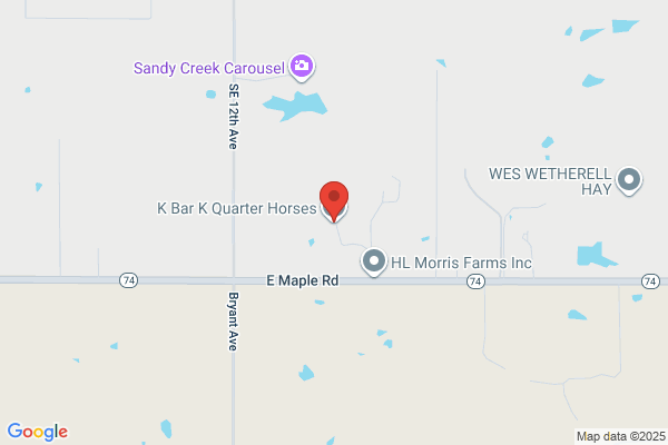 Marc Sacre Quarterhorses Llc