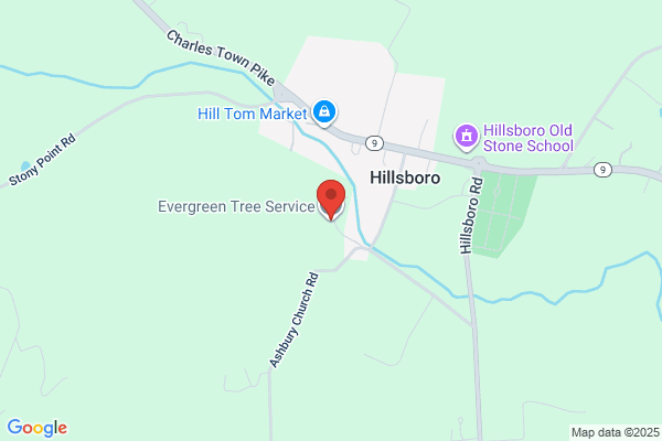 Evergreen Tree Service