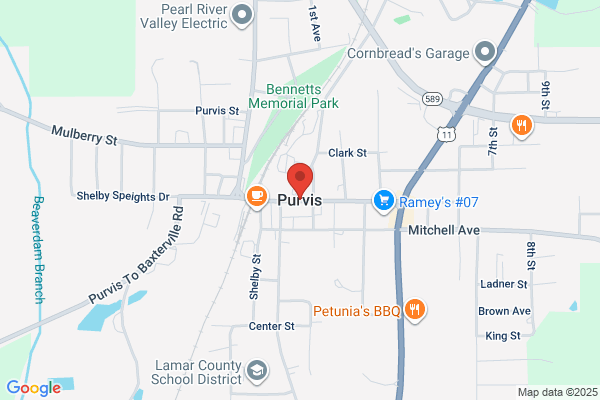 Purvis City of, Schools