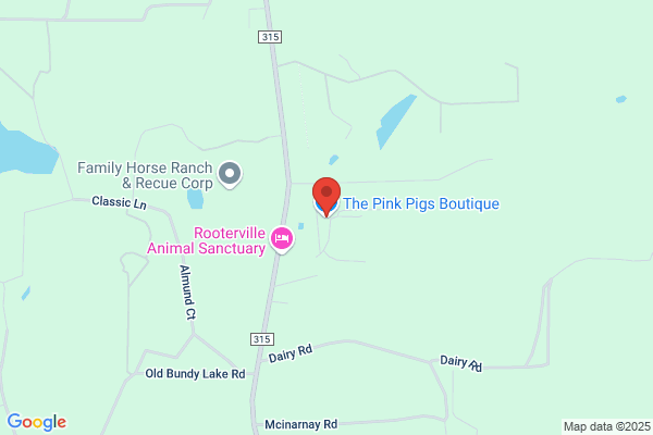 The Pink Pigs