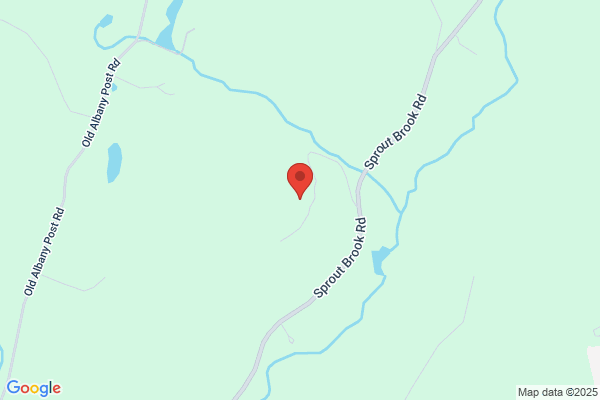Bear Mountain Home Veterinary Service