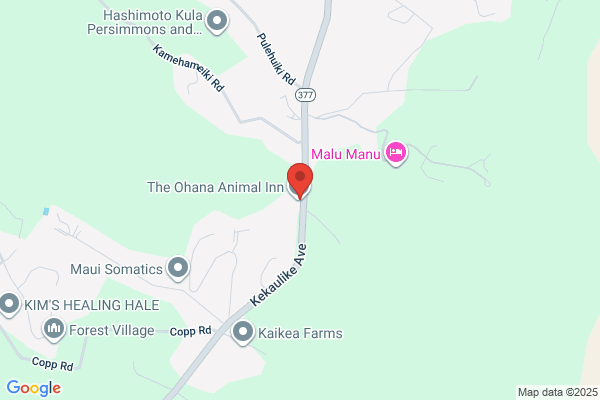 The Ohana Animal Inn