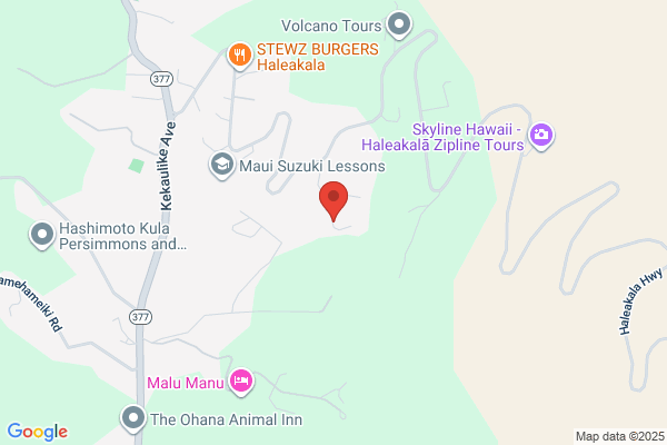 Aloha Bike Tours