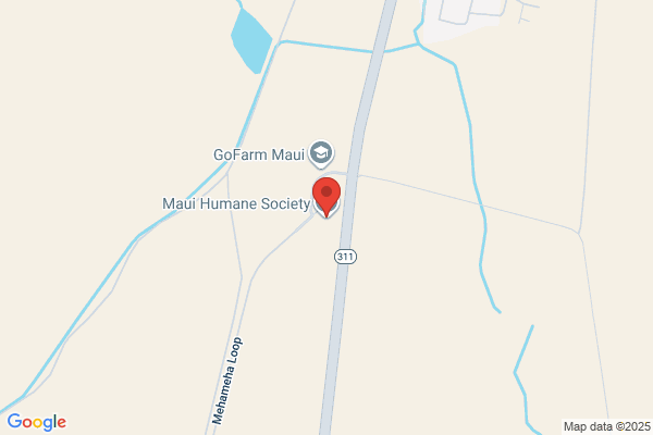Maui Humane Society