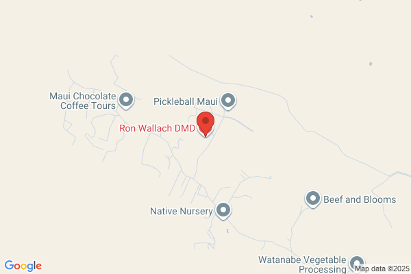 Ron Wallach DMD