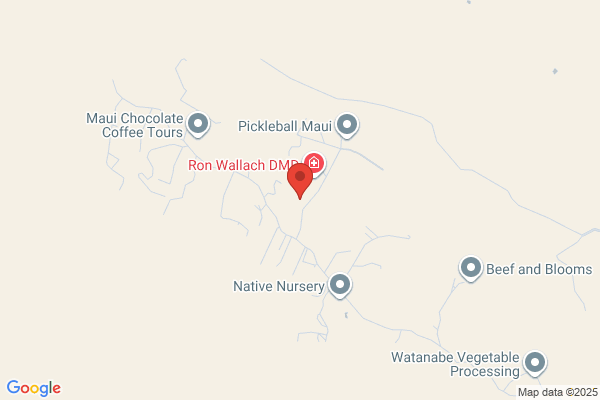 Tropical Toys, Reservations