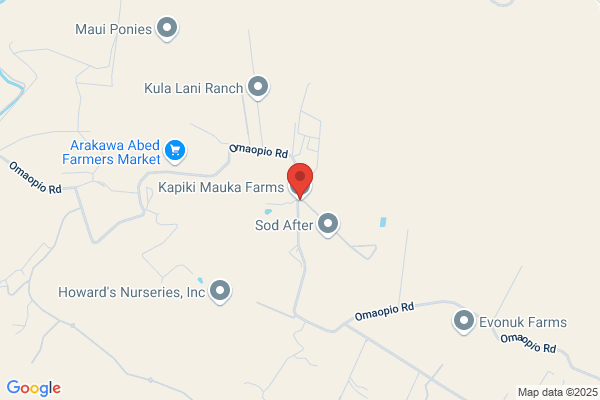Uradomo M Farms Inc