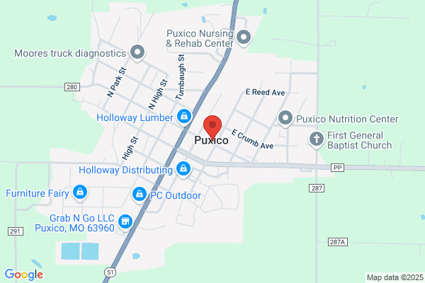 Puxico City Library