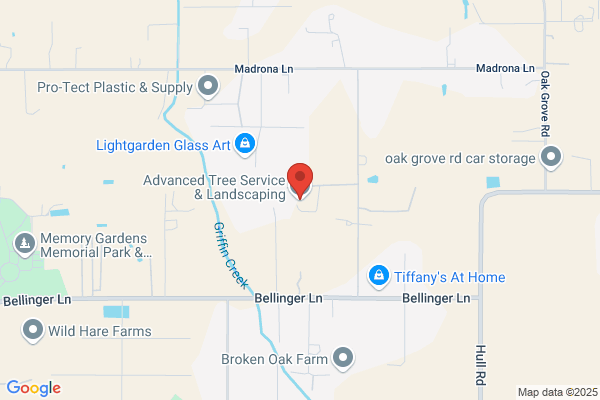 Advanced Tree Service and Landscaping
