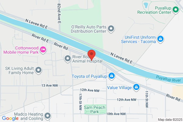 Larson Motors