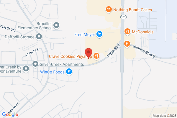 Metro Garage Door Repair Puyallup