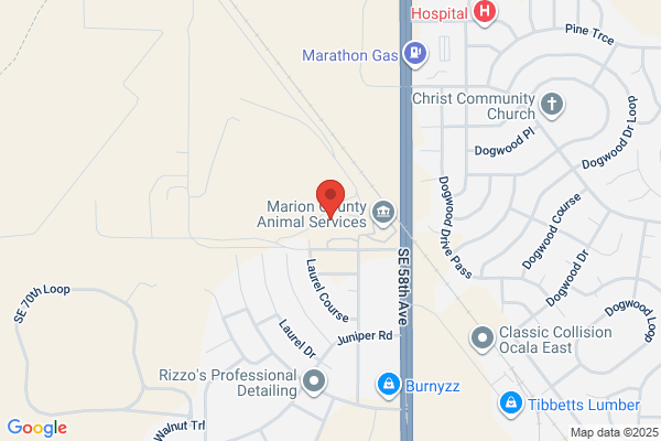 Marion County Solid Waste
