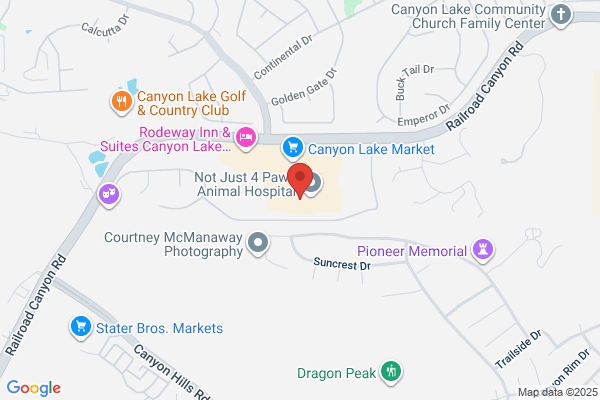 Harcourts Prime Properties - Dawna Thibodeau