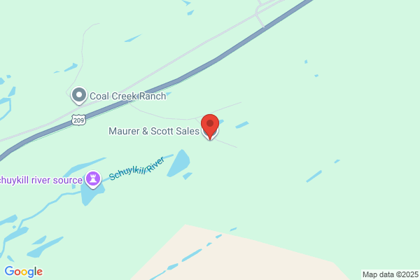 McAloose Robert L Inc