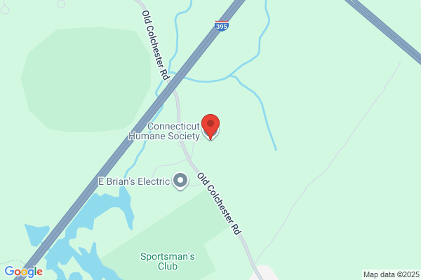 Humane Society Connecticut
