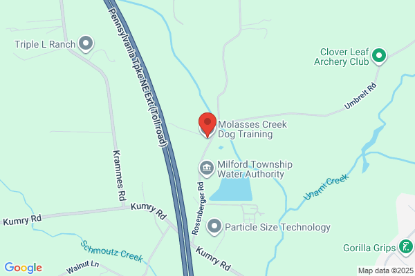 Molasses Creek Dog Training, LLC