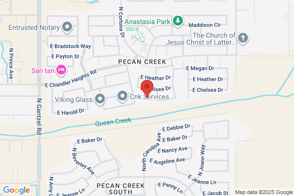 Accent Optical Network