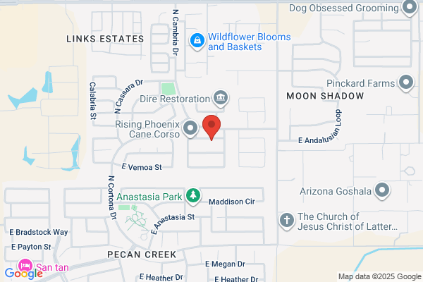 City Plumbing and Rooter