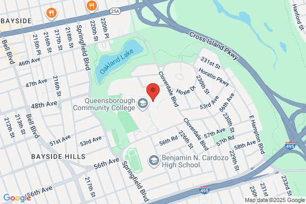 Oasis Day Camp in Bayside