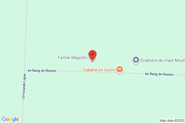 Terre Majestic Inc
