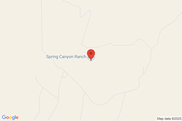 Quemado Lake Land & Cattle Co