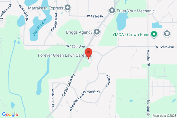 Forever Green Lawn Care & Landscaping