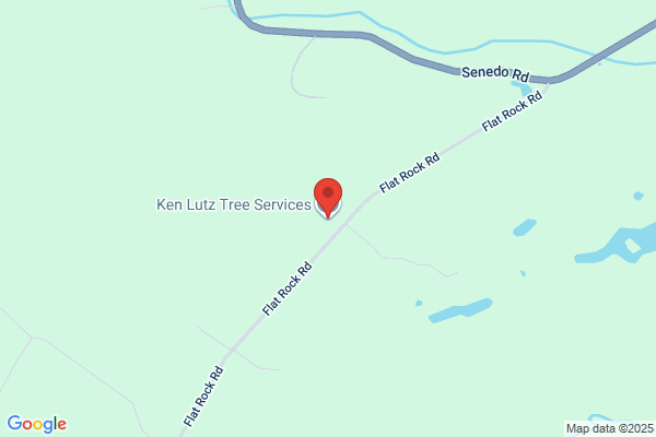 Lutz Ken Tree Service