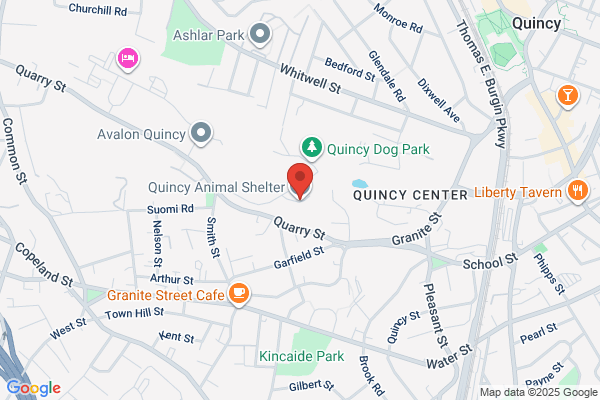 Animal Shelter of Quincy