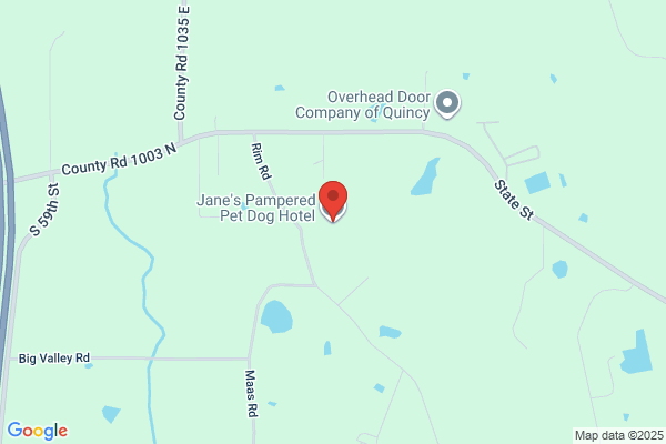 Janes Pampered Pet Grooming & Pet Boutique
