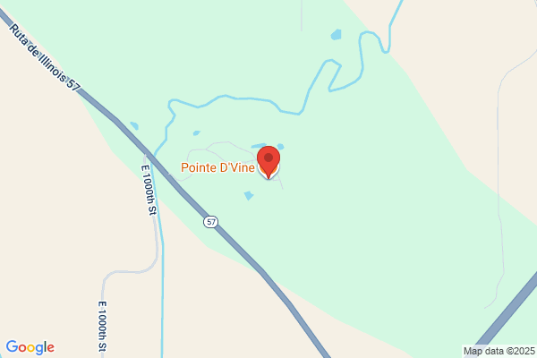 Pointe D'Vine