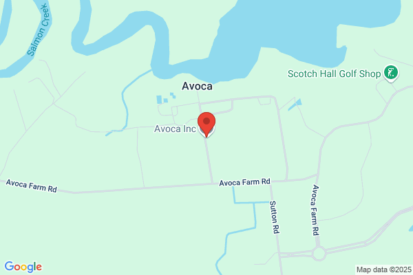 Avoca Inc